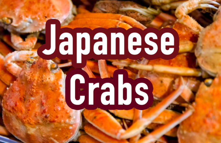 japanese.crab.thum