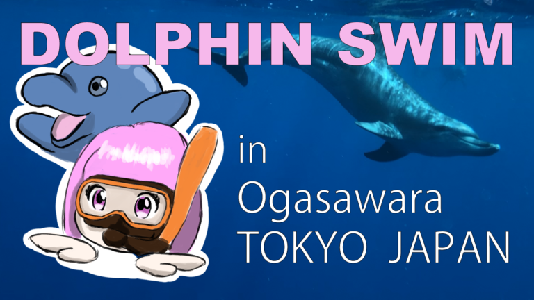 ogasawara thumbnail